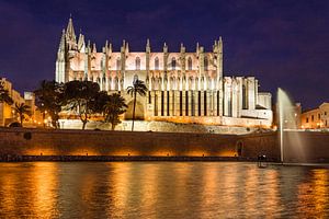 Kathedrale La Seu und Parc de la Mar in Palma de Mallorca