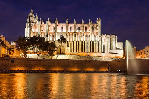La Seu Cathedral and Parc de la Mar in Palma de Mallorca