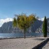 Promenade with cypresses on the north shore of Lake Garda by Frank Andree