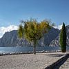 Promenade mit Zypressen am Nordufer Gardasee von Frank Andree
