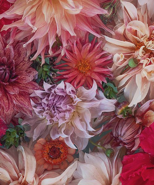 DahliasinPink by Marina de Wit