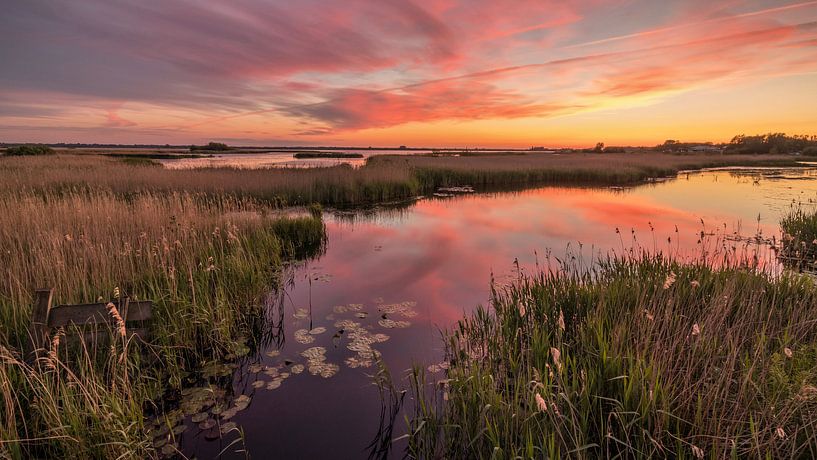 Leinwijk Kropswolde by Marga Vroom