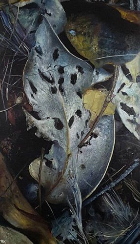 Blad herfst  blauw grijs