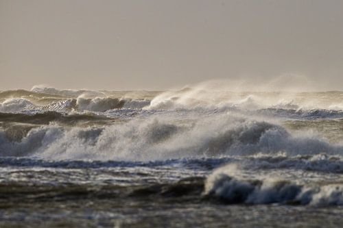 Zon en wind opwaaiende branding