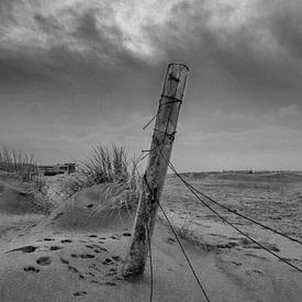 Strandgezicht by Dirk van der Plas