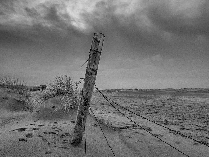 Strandgezicht by Dirk van der Plas
