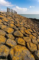 Basalt with yellow spots