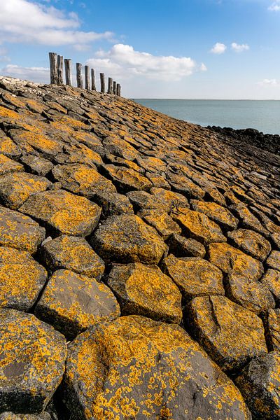 Basalt mit gelben Flecken von E Jansen