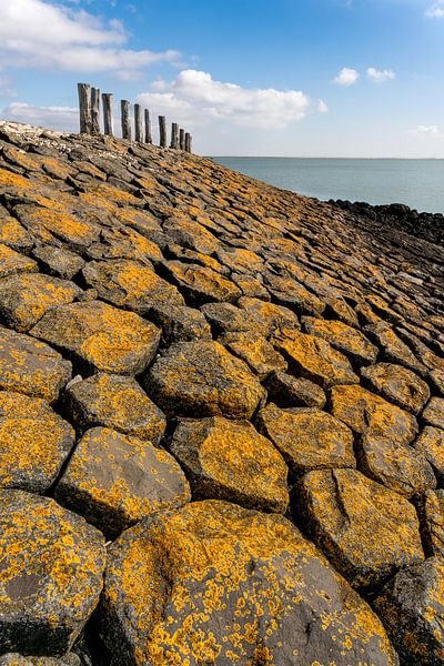 Basalte avec des taches jaunes par E Jansen