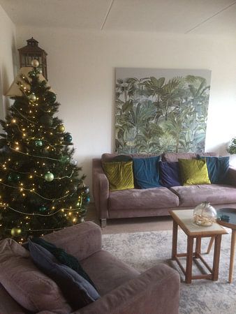 In het tropisch regenwoud