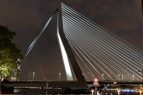 Erasmusbrug puur en schoon van vorm