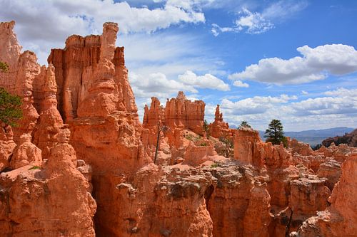 hoodoos in Bryce Canyon United States