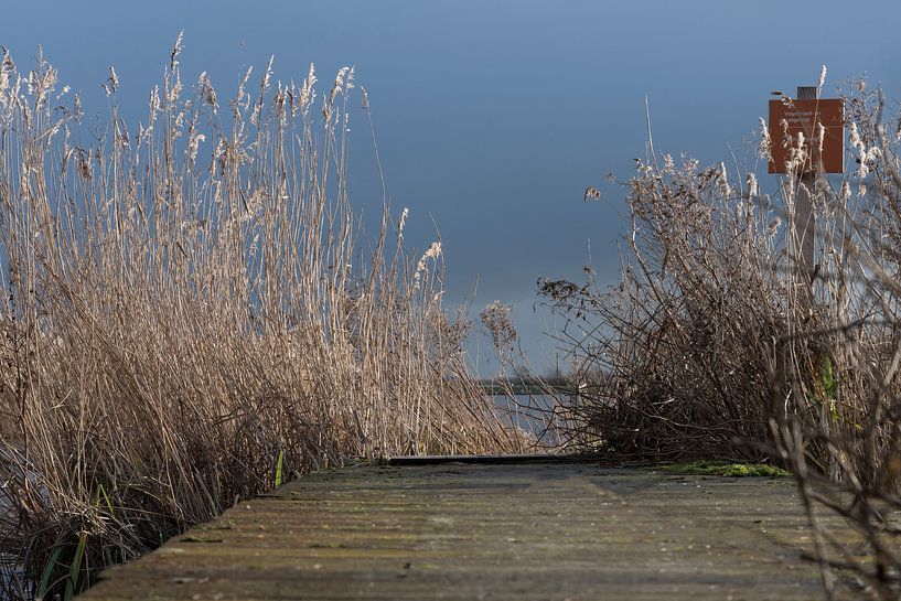 Rust van Ineke Verbeeck