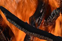 fire wood