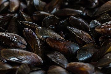 Mussels by Klaartje Majoor