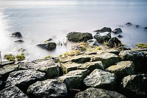 De natte stenen langs de rand van het stilstaande water van Tina Linssen