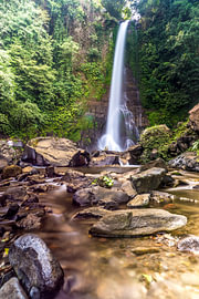 Cascade au cœur de la jungle verte sur Troy Wegman