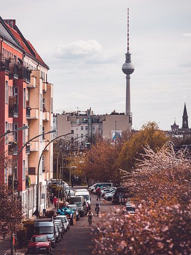 Blüten am ehemaligen Berliner Mauerstreifen Bornholmer Straße