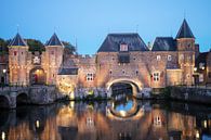 De koppelpoort van Amersfoort van Ton Tolboom thumbnail