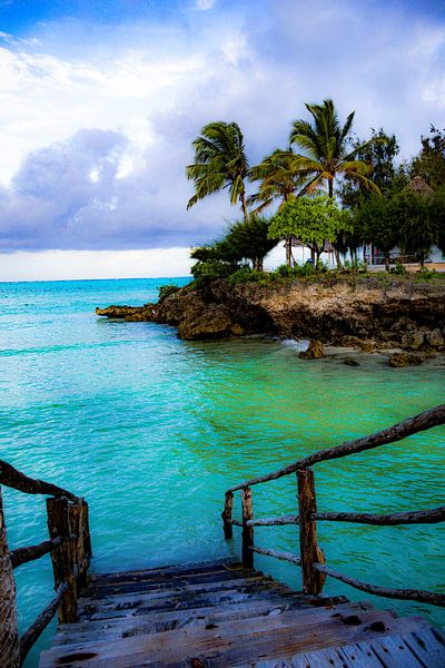 Tropical Zanzibar by Lisette van Leeuwen