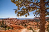 BRYCE CANYON Aussicht auf das Tal von Melanie Viola Miniaturansicht