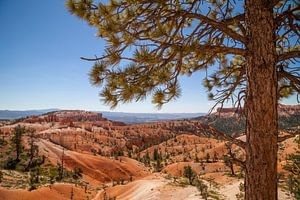 BRYCE CANYON Aussicht auf das Tal