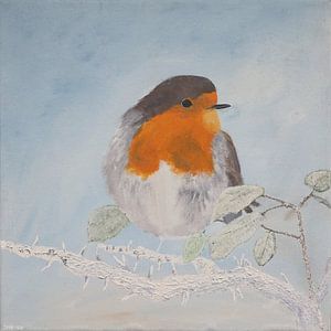 Rotkehlchen im Winter