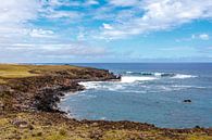 Landscape of Easter Island with green plains surrounded by the Pacific Ocean, Chile, Pacific by WorldWidePhotoWeb thumbnail