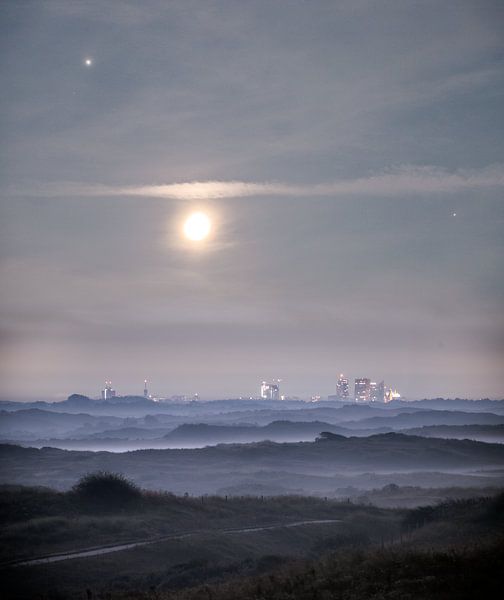 Das geheimnisvolle Den Haag von Corné Ouwehand