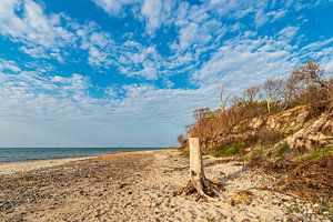 Strand an der Küste der Ostsee bei Graal Müritz