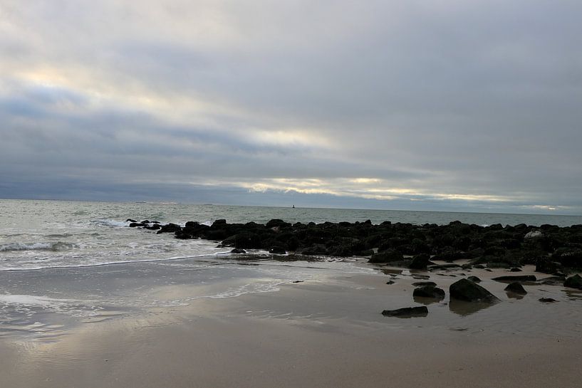 Magnificent sea view by Wendy Hilberath