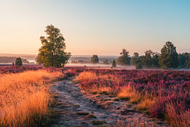 Farbspiel von Pure Moments Photographie