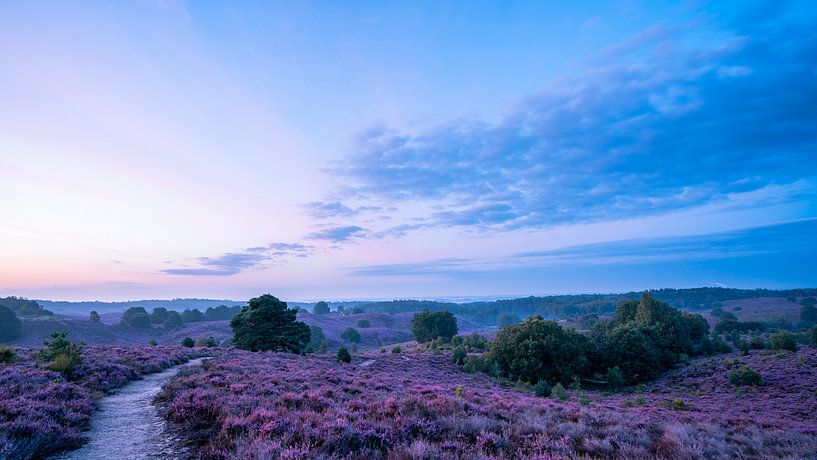 Blue hour on the moors by Hendrik Karremans