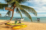 Tropical beach on Koh Samui van Ilya Korzelius thumbnail