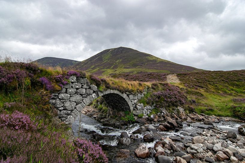 Typical Scotland, Cairngorms National Park by Patrick Verhoef