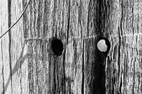 Kijkgaatje hout 