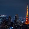 Tokio Tower 3 von Sander Peters