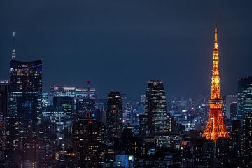 Tokyo Tower 3 by Sander Peters