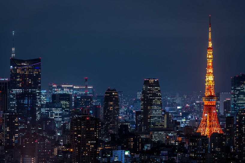 Tour de Tokyo 3 par Sander Peters