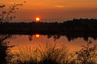 Orange reflection van Jeroen Maas thumbnail