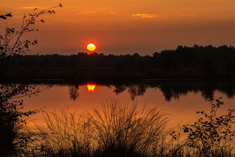 Orange reflection van Jeroen Maas