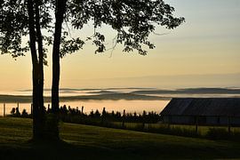 Een mist op een herfstochtend van Claude Laprise
