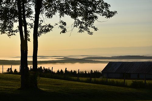 Een mist op een herfstochtend