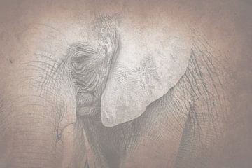 Sand-coloured Silent Elephant in a Soft Neutral Composition by Femke Ketelaar