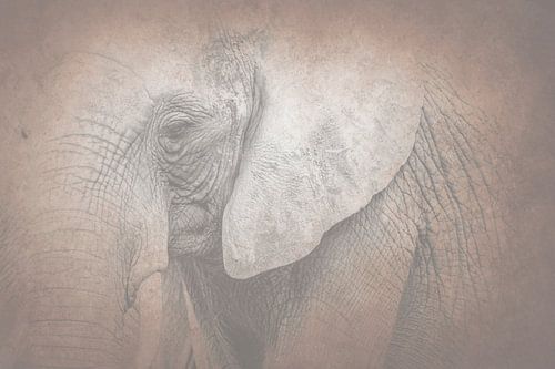 Zandkleurige Stilte Olifant in een Zachte Neutrale Compositie