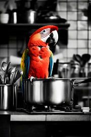 Parrot cooking by Poster Art Shop