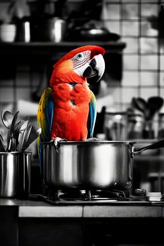 Papegaaien koken