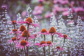 cool happiness by Hiske Boon