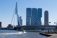 Skyline view Rotterdam van Alejandro Vivas thumbnail
