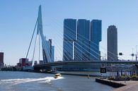 Skyline-Blick Rotterdam von Alejandro Vivas Miniaturansicht